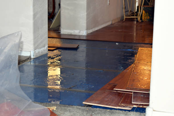 Professional Water Damage Restoration technician working in Beaumont, MS